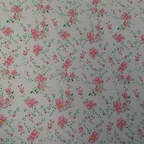 Ral 2169 Z60 90ga pintou pre a folha revestida da cor do soldado da chapa de aço 3