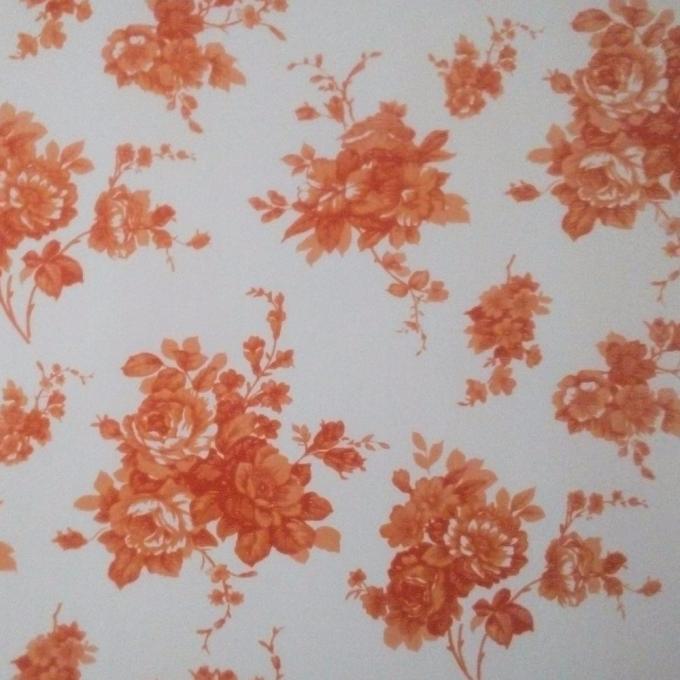 Ral 2169 Z60 90ga pintou pre a folha revestida da cor do soldado da chapa de aço 5